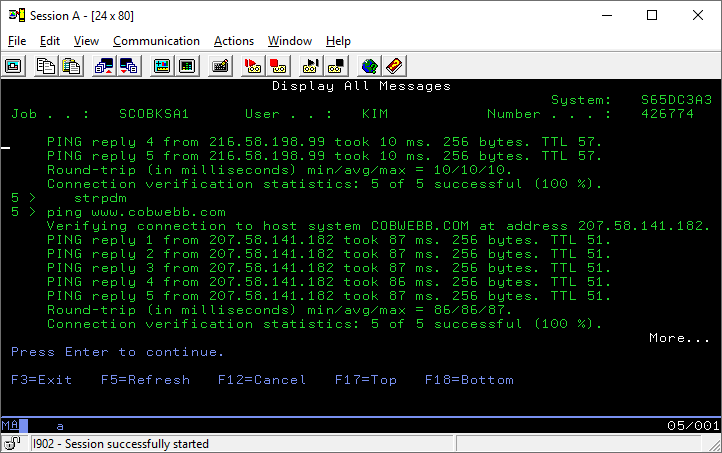 Ping to verify DNS